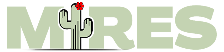 Logotipo MIRES — Missão Resplandecer